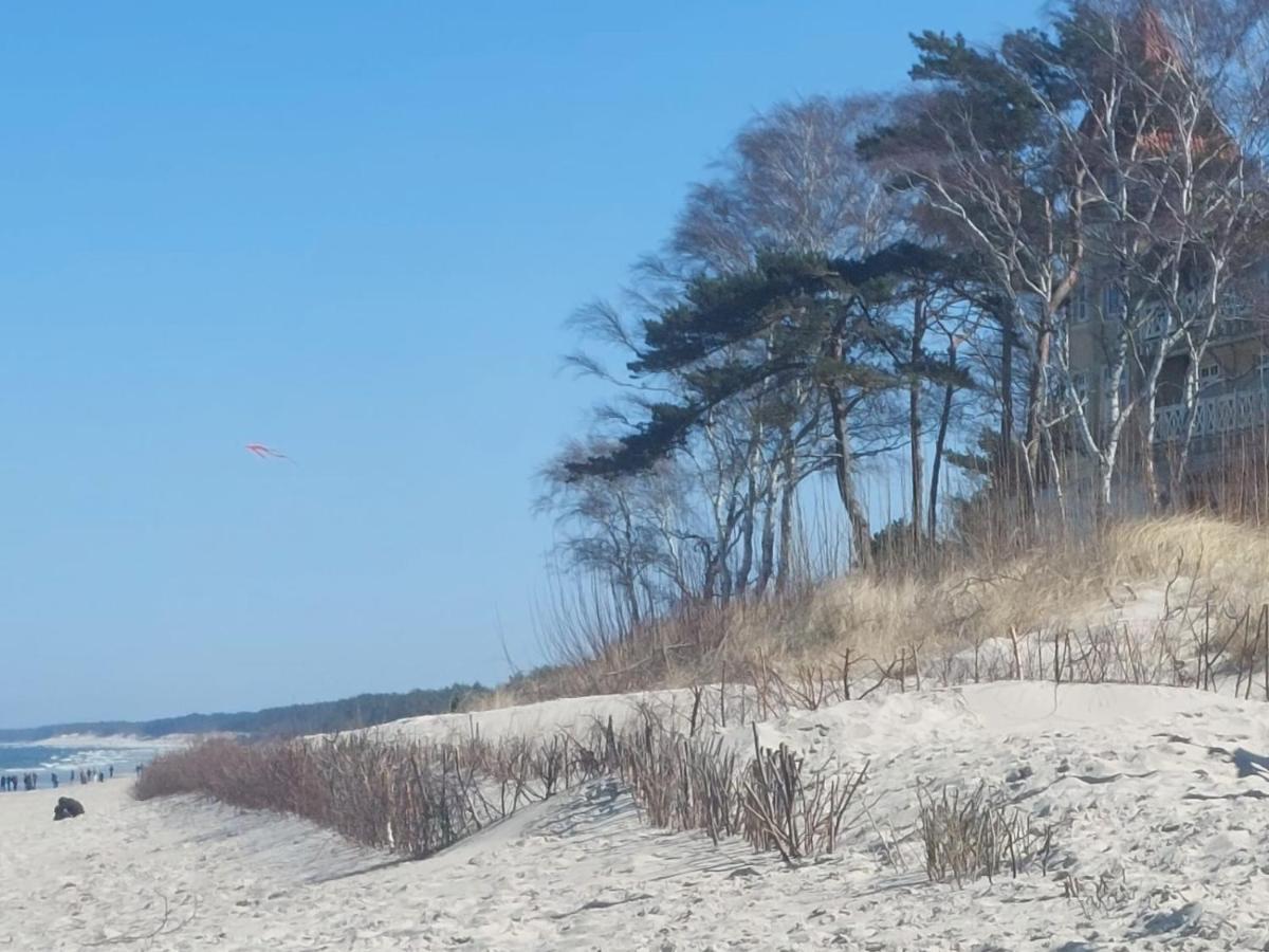 Holiday home Okej Leba - *